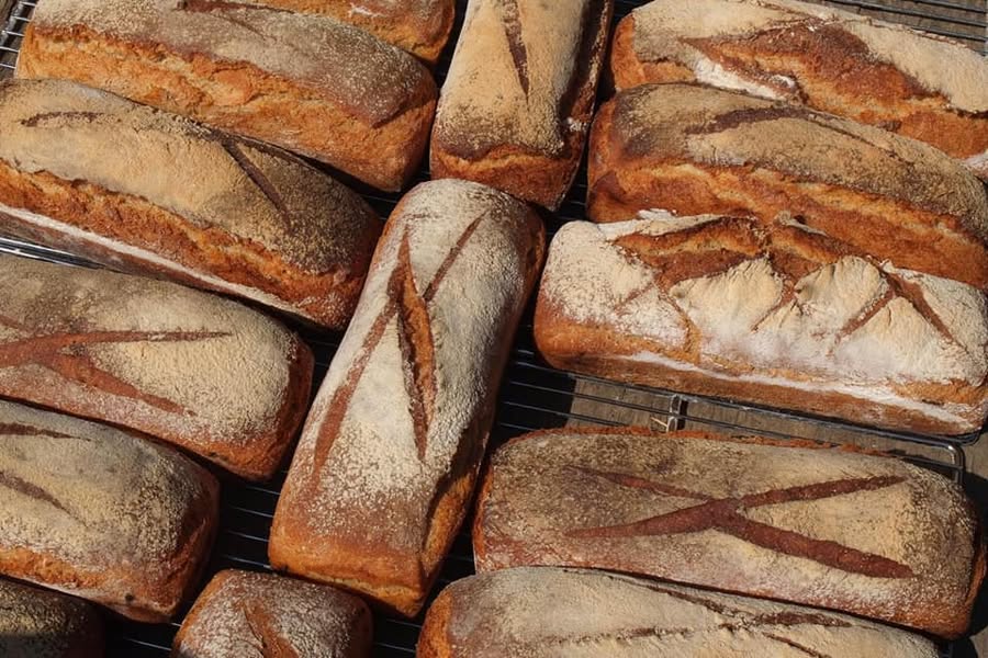 Le pain d'autrefois pain bio
